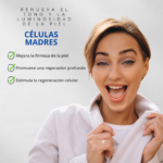 CÉLULAS MADRE